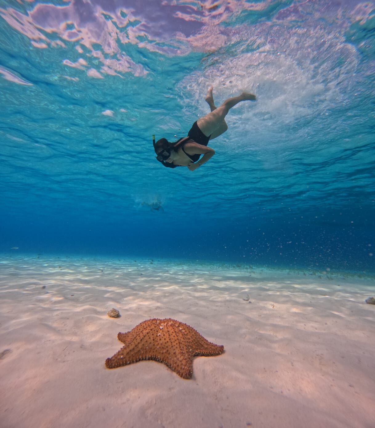 Explore The Wonders Of El Cielo In Cozumel Private Snorkeling