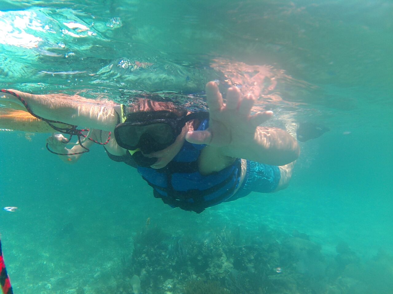 costa maya snorkeling tours