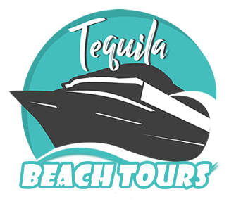 Tequila Beach Tours